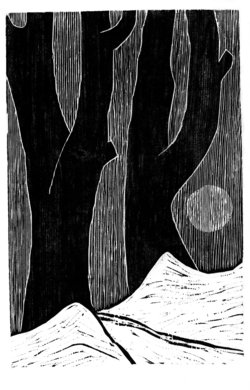 Zwei Bäume und früher Mond