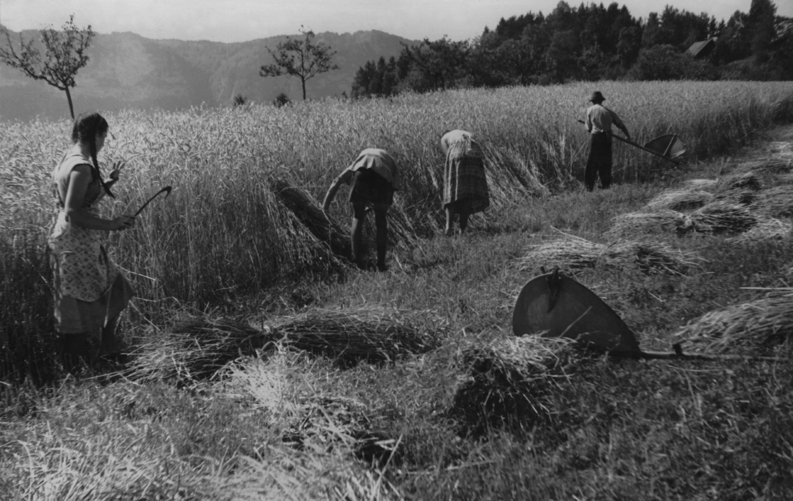 Rutarhof Feldarbeit (2)