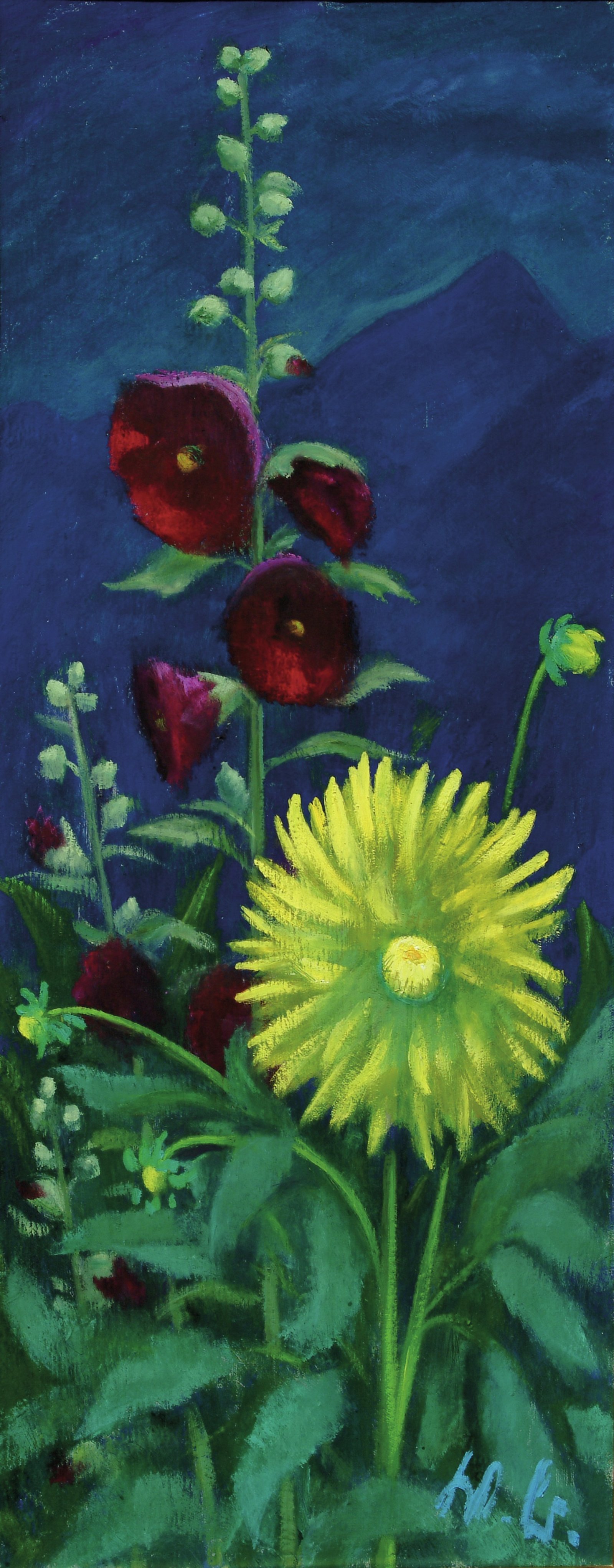 Gelbe Dahlie, Malven und Obir